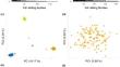 Identification of full-sibling families from natural single-tree ash progenies based on SSR markers and genome-wide SNPs