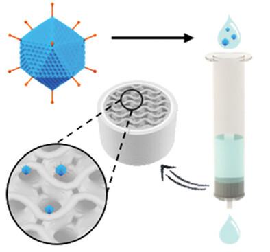 3D‐Printed Highly Porous Functional Materials for the Efficient Removal of Adenovirus