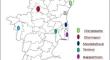 Rice black bug (Scotinophara sp.) status and ecological pest management practices in rice