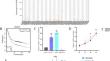 The role of MDM2 in angiogenesis: implications for endothelial tip cell formation.