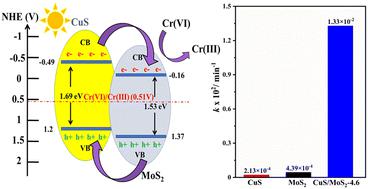 Construction of visible light active CuS/MoS2 heterojunctions for heightened photoreduction of Cr(VI)