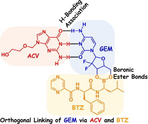 Orthogonal Linking of Gemcitabine by Acyclovir and Bortezomib: A Rational Chemistry Laboratory Introduction of Both Noncovalent and Covalent Dynamics