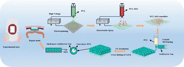 3D printing/electrospinning of a bilayered composite patch with antibacterial and antiadhesive properties for repairing abdominal wall defects