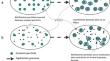 Poultry litter ash potential as a replacement material in cementitious systems: a state-of-the-art review