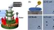 Single proton tight coupling in the bacterial flagellar motor