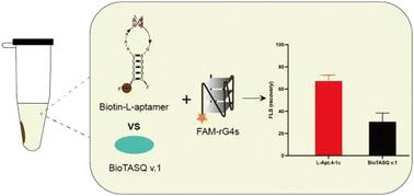 Capture of RNA G-quadruplex structures using an l-RNA aptamer†