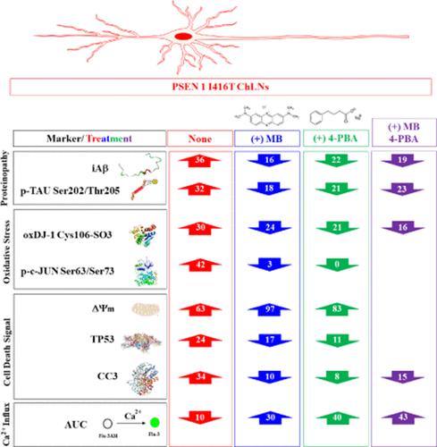 The Antiproteinopathy, Antioxidant, and Antiapoptotic Effects of Methylene Blue and 4-Phenylbutyric Acid Alone, and in Combination on Familial Alzheimer’s Disease PSEN1 I416T Cholinergic-Like Neurons