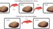 Metabolism Variations in the Bivalve Mollusk Anadara kagoshimensis Tokunaga, 1906 (Bivalvia: Arcidae) under Upwelling Conditions in the Black Sea (Experimental Data)