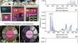 Improving the cooking quality of black glutinous rice by using the low-pressure cold plasma technology