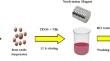 Performance evaluation of Si/Fe3O4 nanoparticles in water-based mud in presence of different Mg2+, K+, Na+ salts: experimental and stability visualization study