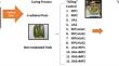 Enhancement of phenolic compounds in vanilla curing with the application of UVC light, microwaves and ultrasound