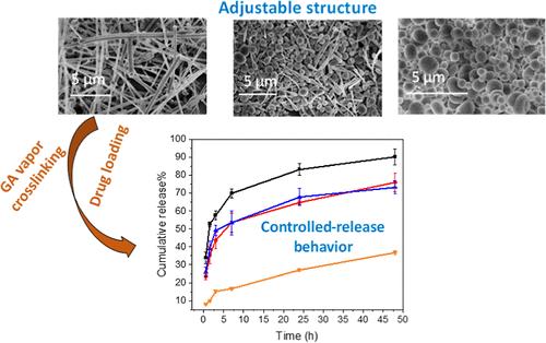 Protein Nanospheres and Nanofibers Prepared by Ice-Templating for the Controlled Release of Hydrophobic Drugs