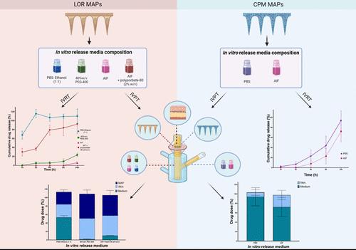 Unravelling Microarray Patch Performance: The Role of <i>In Vitro</i> Release Medium and Biorelevant Testing.