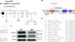 A homozygous missense variant in YTHDC2 induces azoospermia in two siblings.