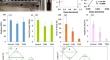 Investigating the Effects of Temperature, Azodicarbonamide, Boron Nitride, and Multilayer Film/Foam Coextrusion on the Properties of a Poly(Hydroxyalkanoate)/Poly(Lactic acid) Blend