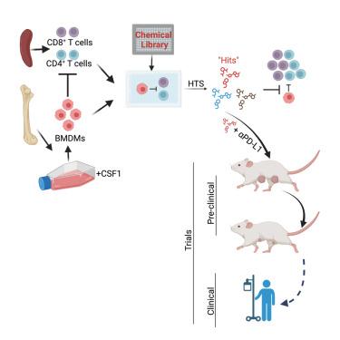 Uncovering therapeutic targets for macrophage-mediated T cell suppression and PD-L1 therapy sensitization.