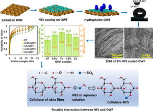 Nano-fumed silica coated novel cellulosic okra fabrics with enhanced hydrophobic, mechanical and thermal properties for high performance bio-composite applications