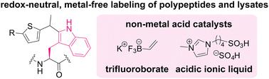 Redox-neutral, metal-free tryptophan labeling of polypeptides in hexafluoroisopropanol (HFIP)†