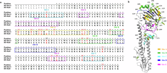 A broad-spectrum vaccine candidate against H5 viruses bearing different sub-clade 2.3.4.4 HA genes.