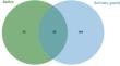 Proteomic insights into the saliva and salivary glands of the cotton aphid, Aphis gossypii (Hemiptera: Aphididae)