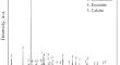 Effect of Magnetite on Compressive Strength of Concrete and Its Mechanism