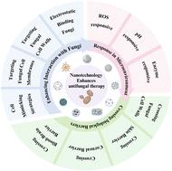 Nanomaterial-based therapeutics for enhanced antifungal therapy