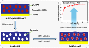 Conductive molecularly imprinted polymer based on poly(1,8-diaminonaphthalene) decorated on gold nanoparticles for controlled antibiotic release