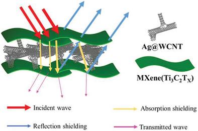 MXene/Ag@whisker Carbon Nanotube‐Based Sandwich Structures for High‐Performance Electromagnetic Interference Shielding