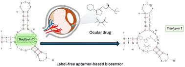 Selection of DNA aptamers for sensing drugs treating eye disease: atropine and timolol maleate