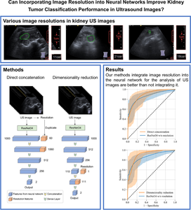 Can incorporating image resolution into neural networks improve kidney tumor classification performance in ultrasound images?