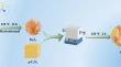 A novel S-type porous g-C3N4/In2S3 heterojunction photocatalyst for efficient of CBZ degradation under visible light