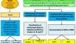 Histo-Pathological and Serological Investigation on the Occurrence of Subclinical Paratuberculosis in Slaughtered Buffaloes in Mhow, Madhya Pradesh, India