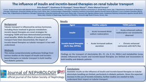 The influence of insulin and incretin-based therapies on renal tubular transport.