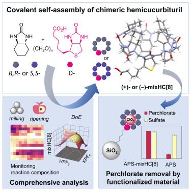 Mechanochemically driven covalent self-assembly of a chiral mono-biotinylated hemicucurbit[8]uril