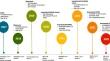 Systemic Mastocytosis: State of the Art.