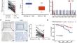 PRELP inhibits colorectal cancer progression by suppressing epithelial-mesenchymal transition and angiogenesis via the inactivation of the FGF1/PI3K/AKT pathway.