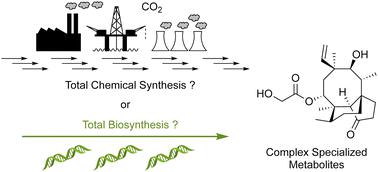 Comparing total chemical synthesis and total biosynthesis routes to fungal specialized metabolites.