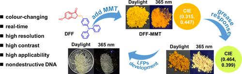 Elevating Latent Fingerprint Visualization: Sebaceous Fingerprint Residues-Responsive Fluorescent Powders for Colour-Changing Visual Enhancement