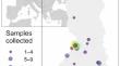 Broad geographic variation in age- and sex-dependent origin of harvested eurasian wigeon (Mareca penelope) revealed by stable-hydrogen (δ2H) isotope analyses of feathers