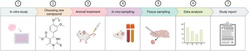 DNA interaction of selected tetrahydropyrimidine and its effects against CCl<sub>4</sub>-induced hepatotoxicity in vivo: Part II.