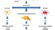 The Role of Inflammation in Depression and Beyond: A Primer for Clinicians.