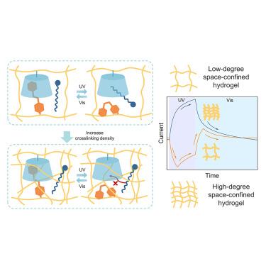 Competing host-guest interactions to explore the alkyl anion transport in photo-responsive, space-confined hydrogels