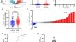 Long non-coding RNA MAGEA4-AS1 binding to p53 enhances MK2 signaling pathway and promotes the proliferation and metastasis of oral squamous cell carcinoma