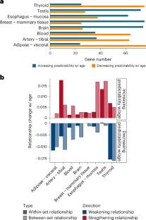 Age-associated changes in gene regulatory relationships affect basic cellular processes.