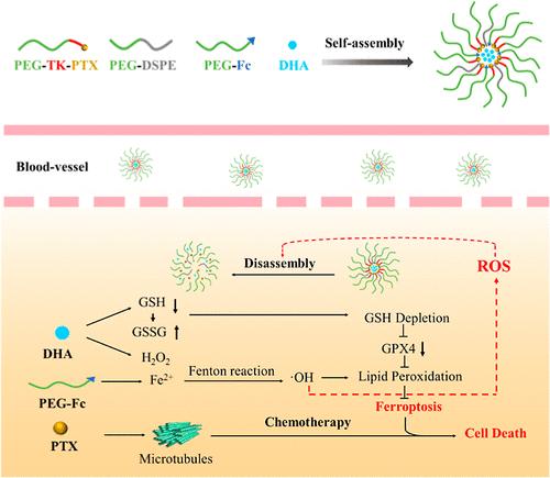 ROS-Responsive and Self-Catalytic Nanocarriers for a Combination of Chemotherapy and Reinforced Ferroptosis against Breast Cancer