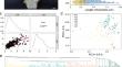 Genome-wide association study and selective sweep analysis uncover candidate genes controlling curd branch length in cauliflower.