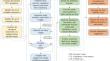 Sustainability-oriented prioritization of nuclear fuel cycle transitions in China: a holistic MCDM framework under uncertainties