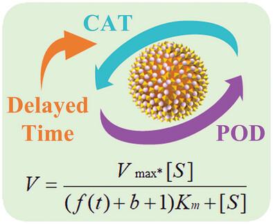 Unveiling Generally-ignored Co-substrate Effect of Catalase-inherent Peroxidase Mimic for Self-verifiable Detection of High-concentration Hydrogen Peroxide