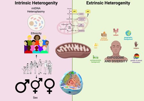 Mitochondrial heterogeneity and crosstalk in aging: Time for a paradigm shift?