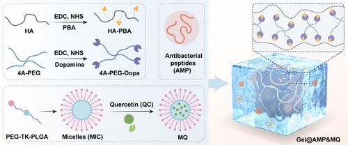 Smart Hydrogel Dressing Enhances the Healing of Chronic Infectious Diabetic Wounds through Dual-Barrier Drug Delivery Action.